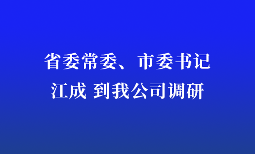 省委常委、市委書記江成到我公司調(diào)研